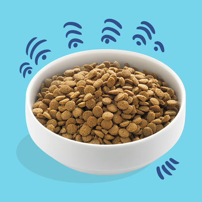 Pienso para perros Salmón Noruego Edgard & Cooper 7 kg