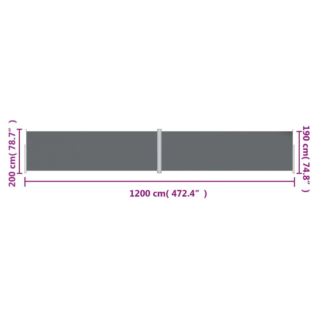 Vidaxl Toldo Lateral Retráctil Antracita 200x1200 Cm_2