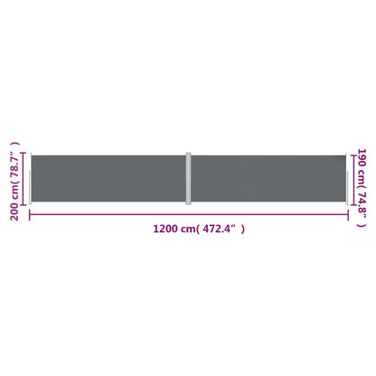 Vidaxl Toldo Lateral Retráctil Antracita 200x1200 Cm_2