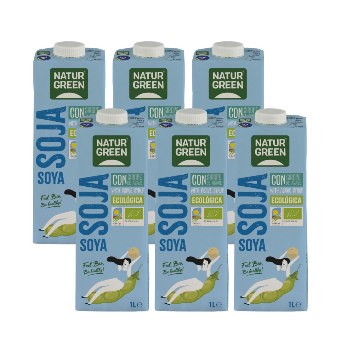Pack Bebida de Soja con sirope de agave Bio NaturGreen 6L