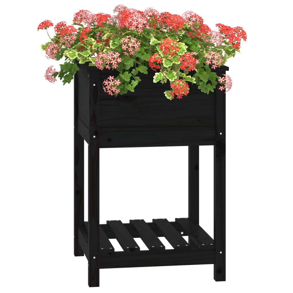 Jardinera Con Estante Madera Maciza De Pino Negro 54x54x81 Cm_3