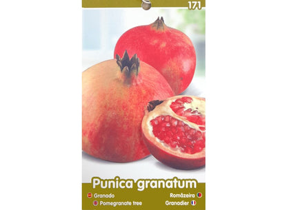 Granado Mollar M25 100cm_1