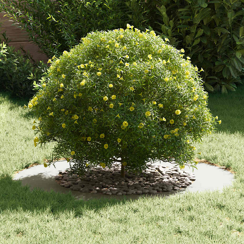 Adecuado Para Anillo De Árbol Plano Ø50/80 Cm Acero_2
