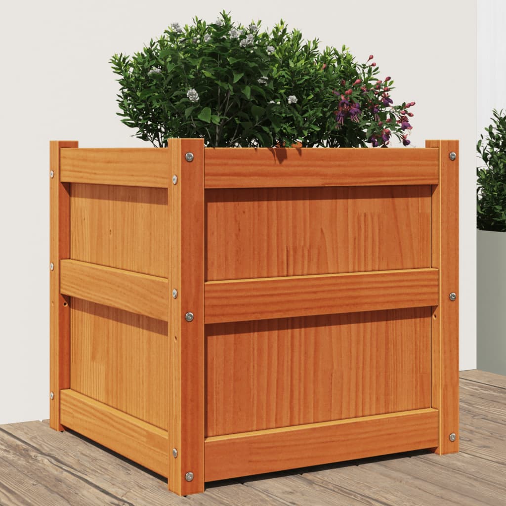 Jardinera Exterior Madera Maciza Pino Marrón Cera 50x50x50 Cm_1
