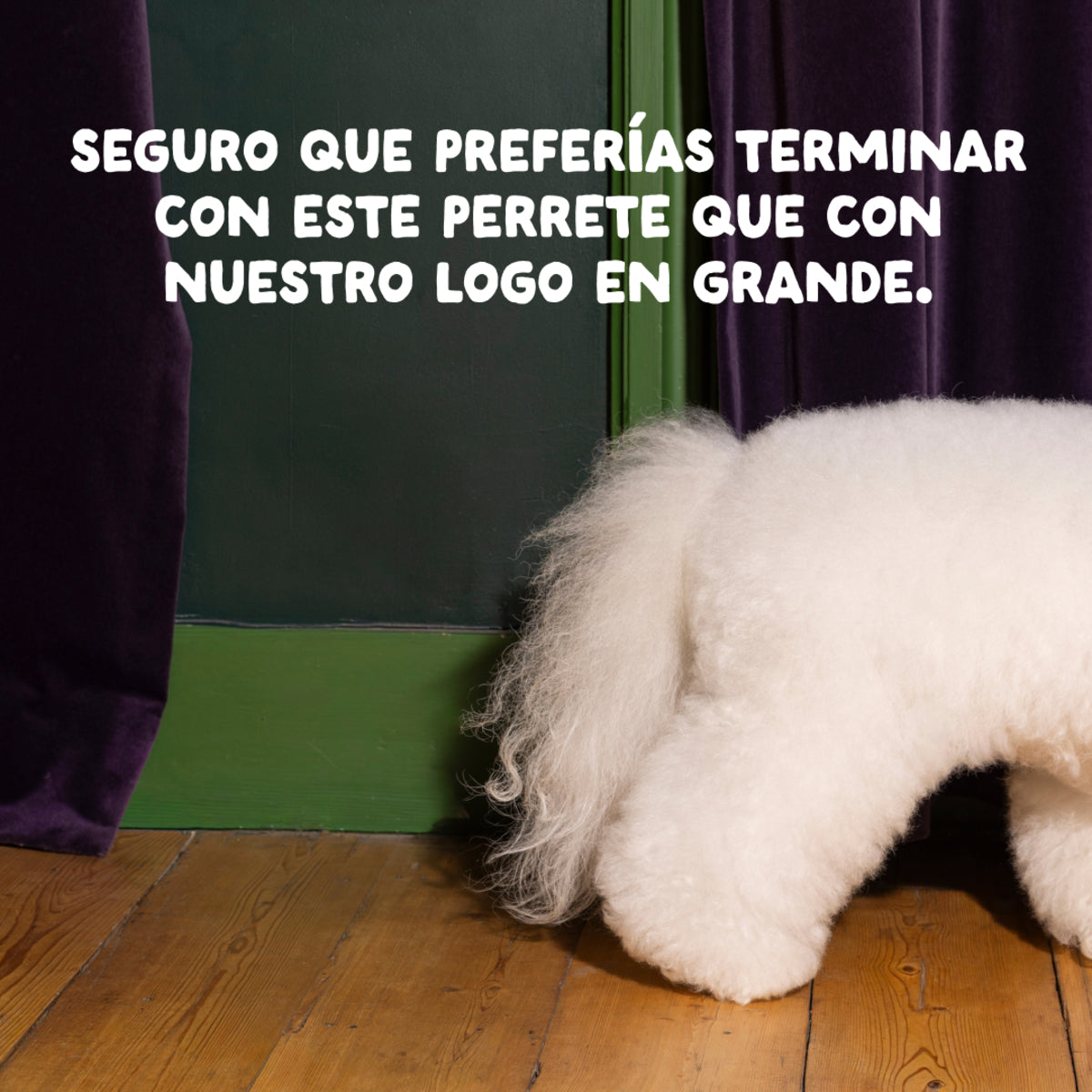 Pienso para perros Salmón Noruego Edgard & Cooper 1 Kg