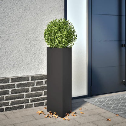 Jardineras Triangulares 2 Uds Acero Negro 30x26x75 Cm_1