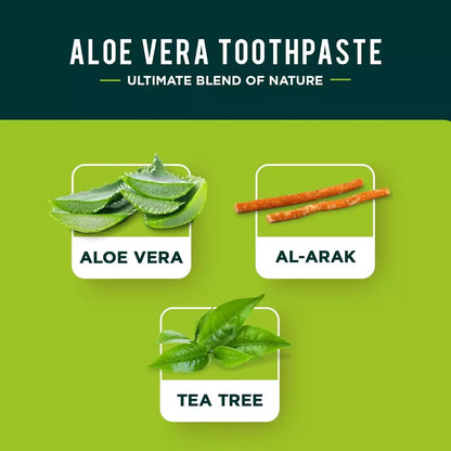 Pasta de dientes ayurvédica con Aloe Vera 100ml