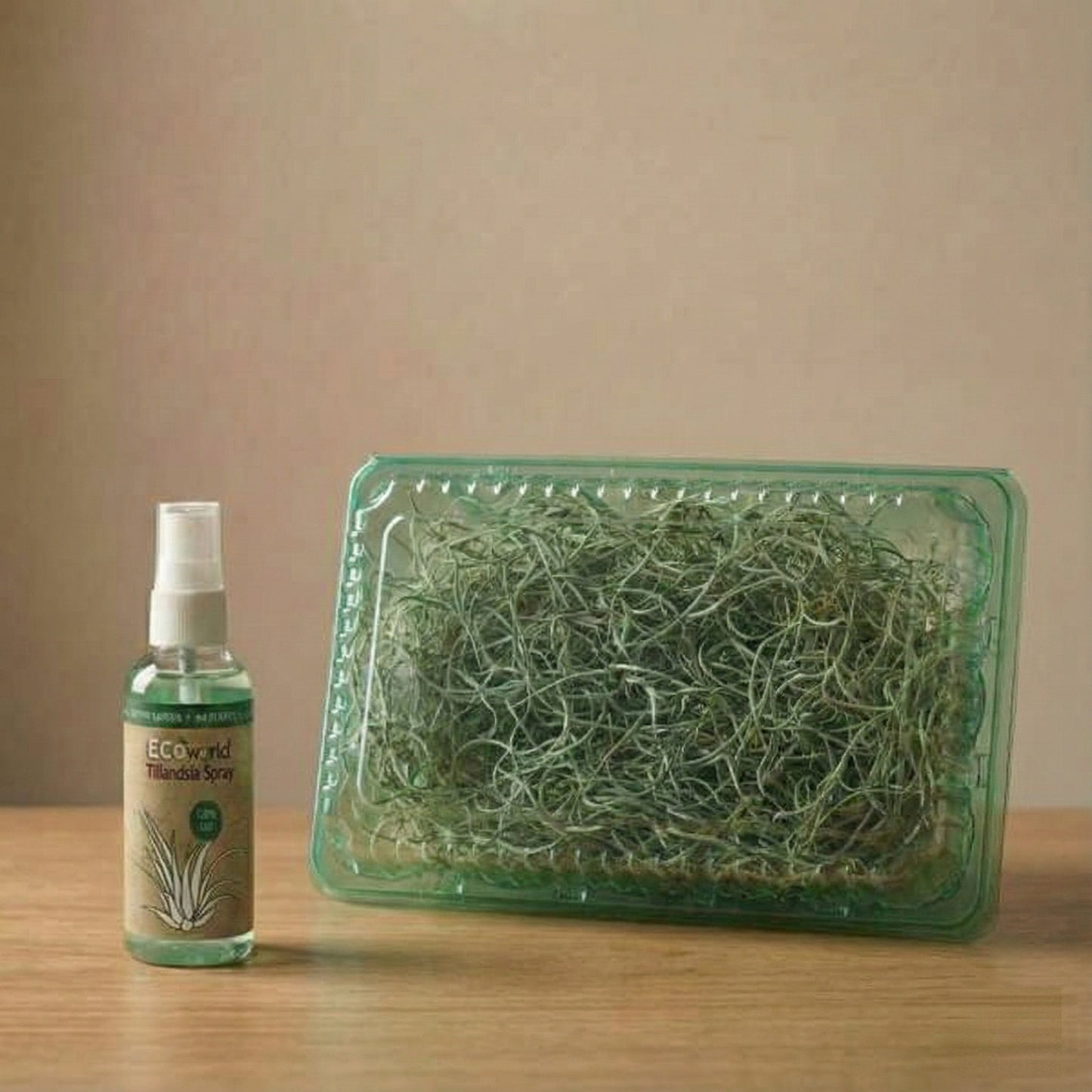 Tillandsia Musgo Español 3 Unidades - Planta De Aire Decorativa_3