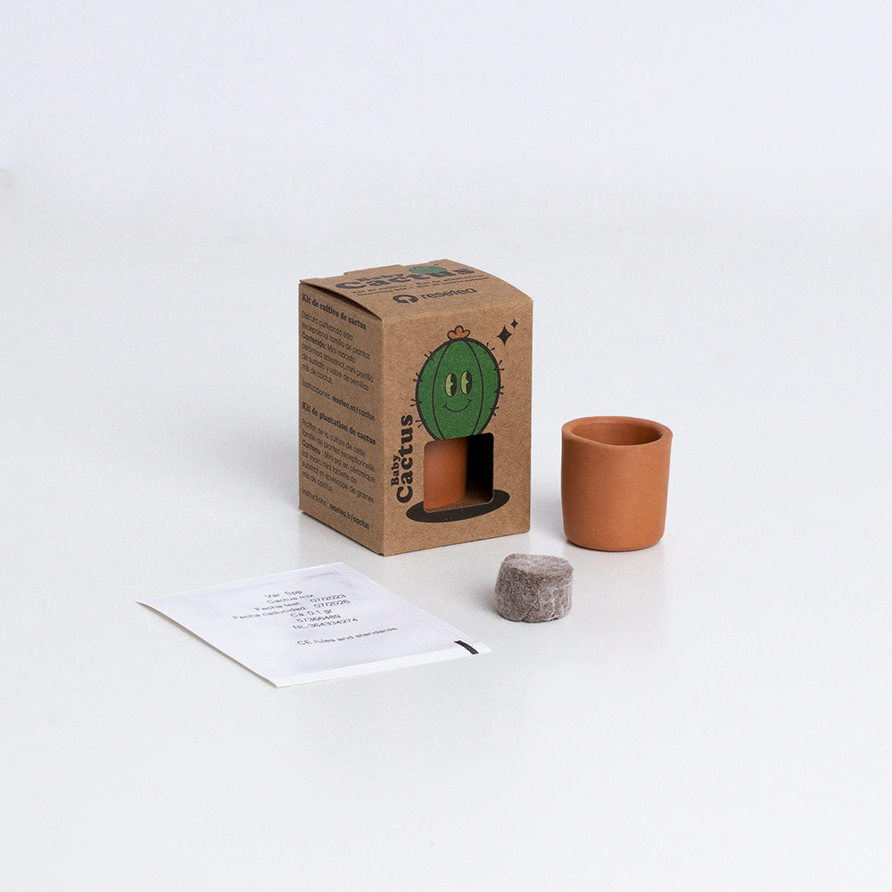 Baby Cactus | Kit De Cultivo De Cactus Con Maceta De Barro Artesanal_1