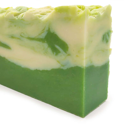 Jabón Natural De Aloe Vera (90g) - Indicado Para Todo Tipo De Piel - Hidrata, Aclara Manchas Y Reduce Estrías_1