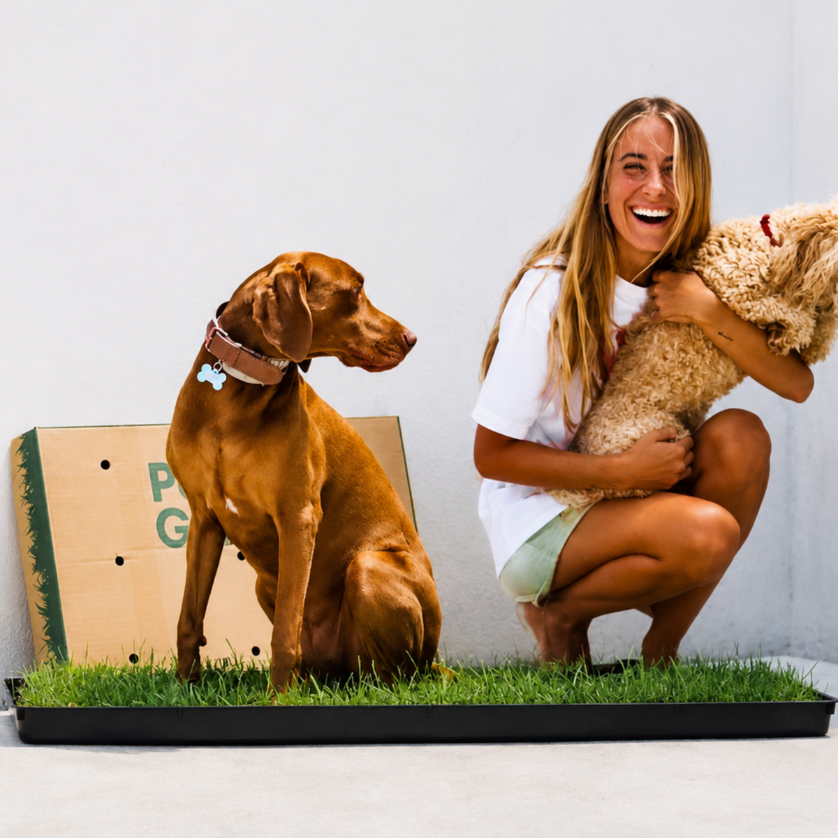 Petground, Cama Para Perros, Empapador, Alfombra Olfativa, Césped Natural, Xl_2