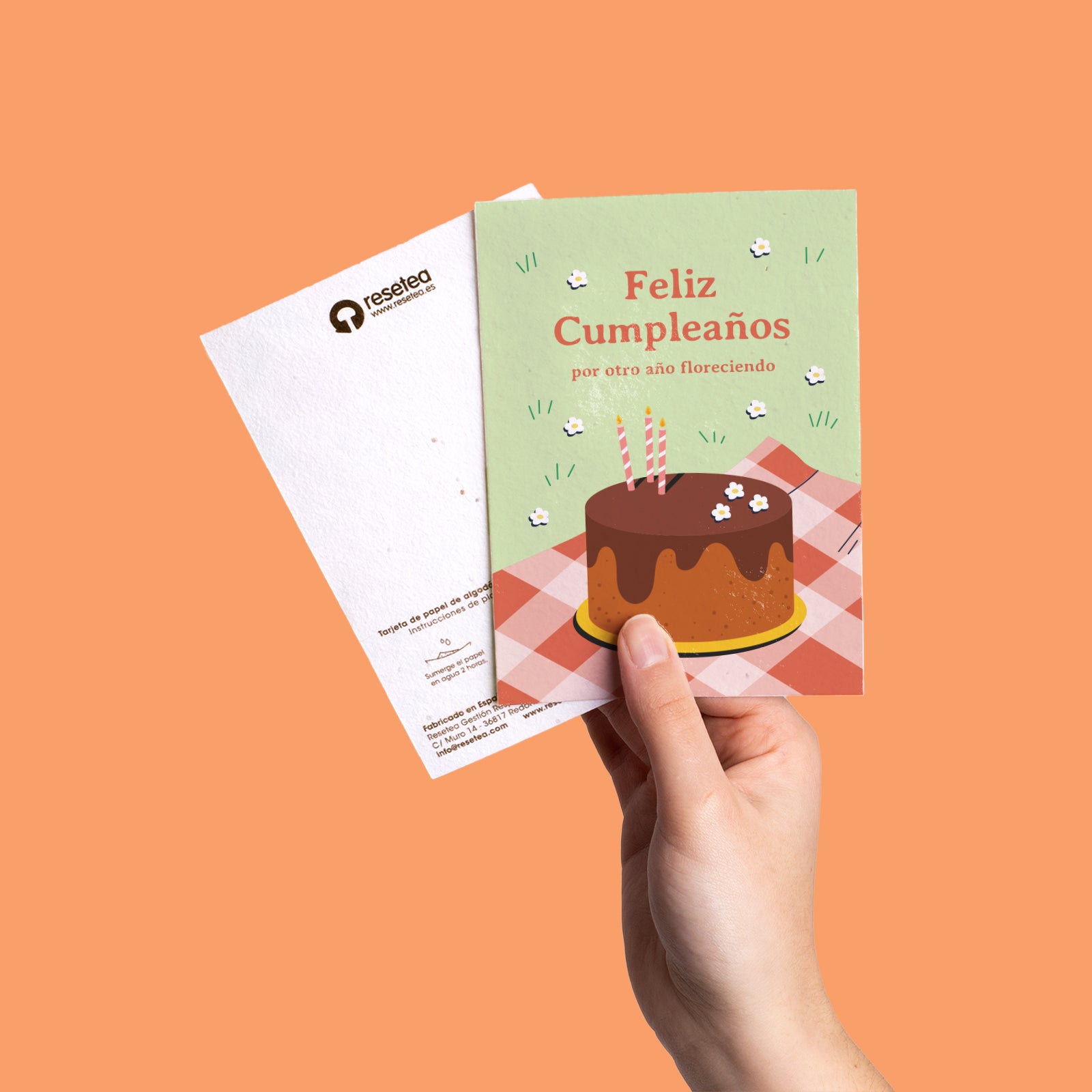 Postal Plantable Feliz Cumpleaños – Felicitación Original Que Florece, Regalo Con Vida | Resetea_3