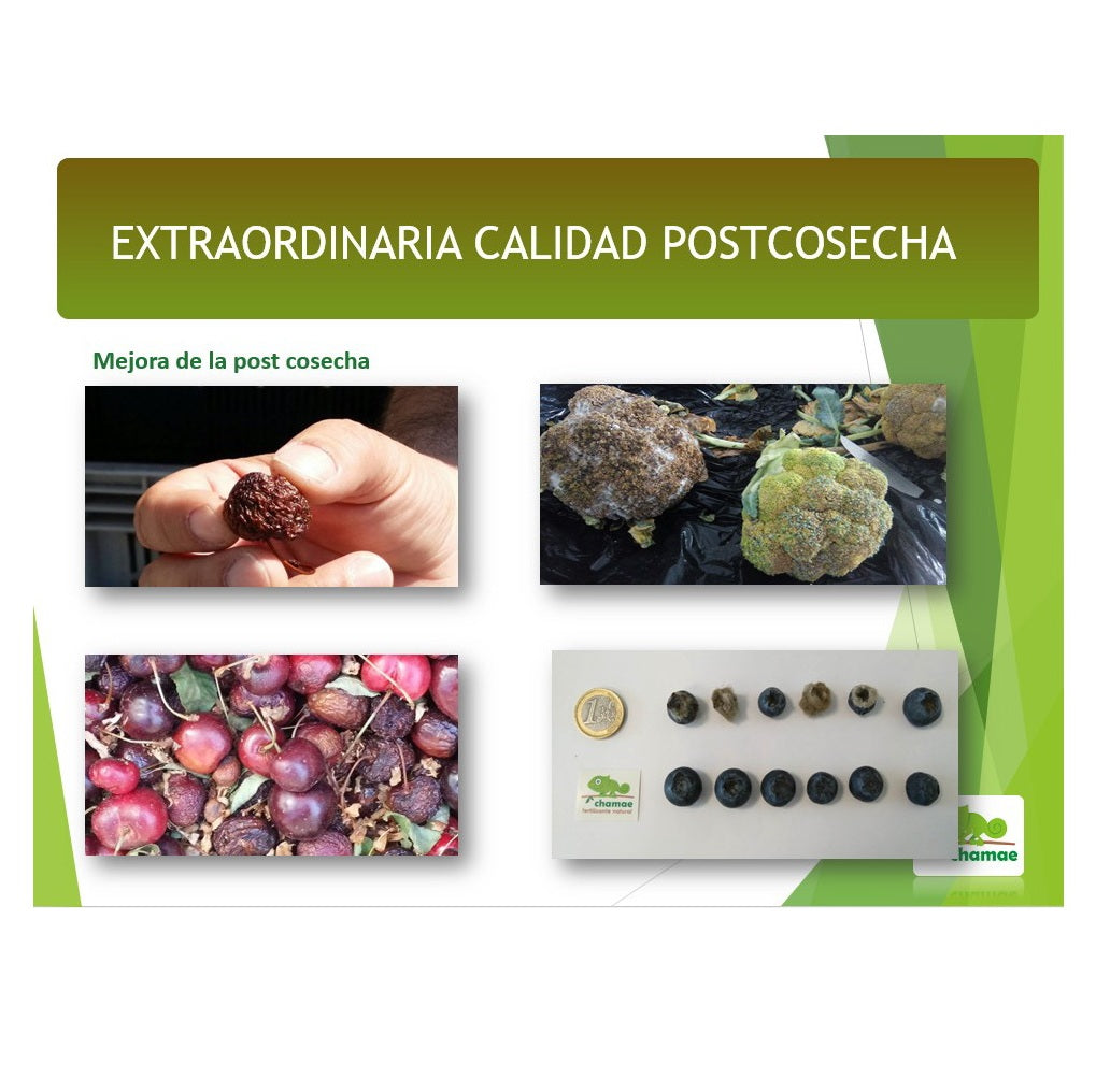 Fertilizante  Potasio VPotash 5 Chamae 1 litro Ecológico. Jardinería. Potasio verde. Aplicación al suelo y foliar.