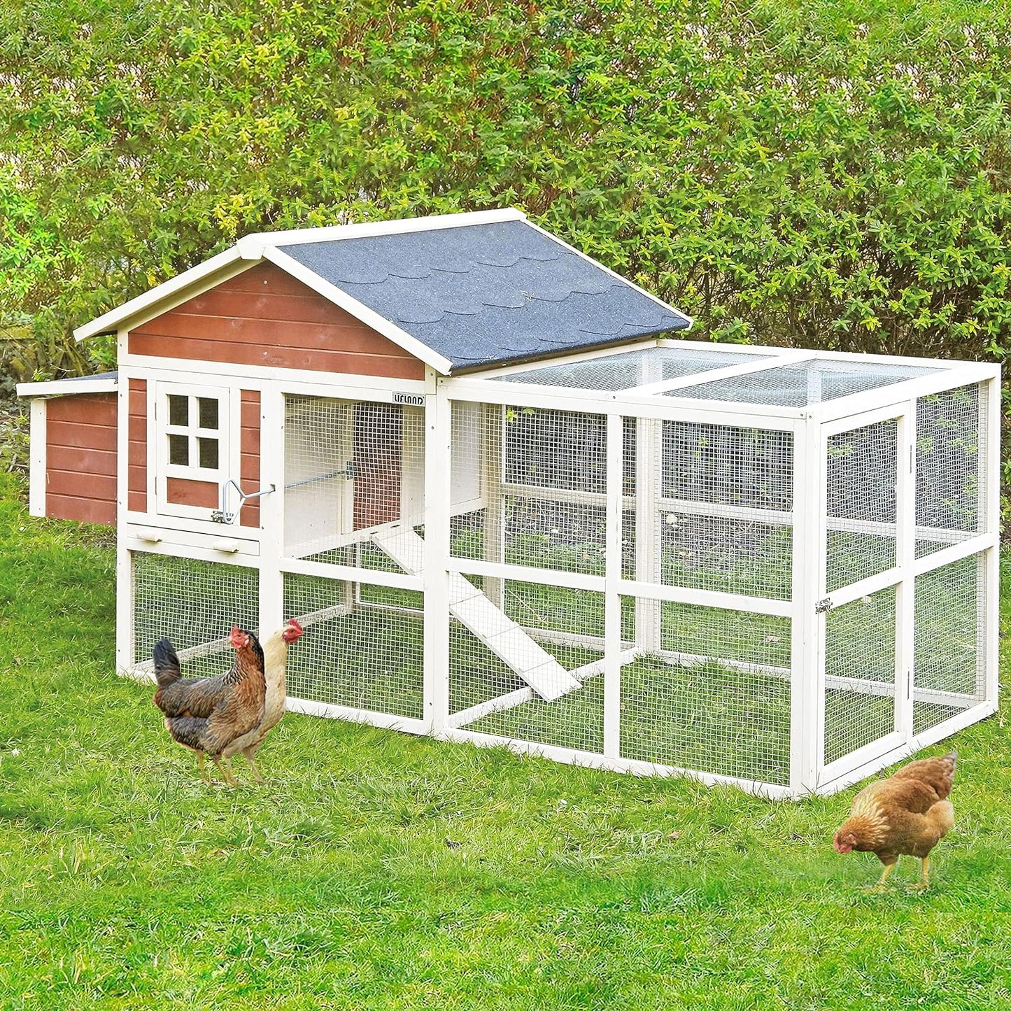 Gallinero Michigan - Capacidad Para 6-8 Gallinas -zona De Refugio En Planta Alta Y Voladero_0