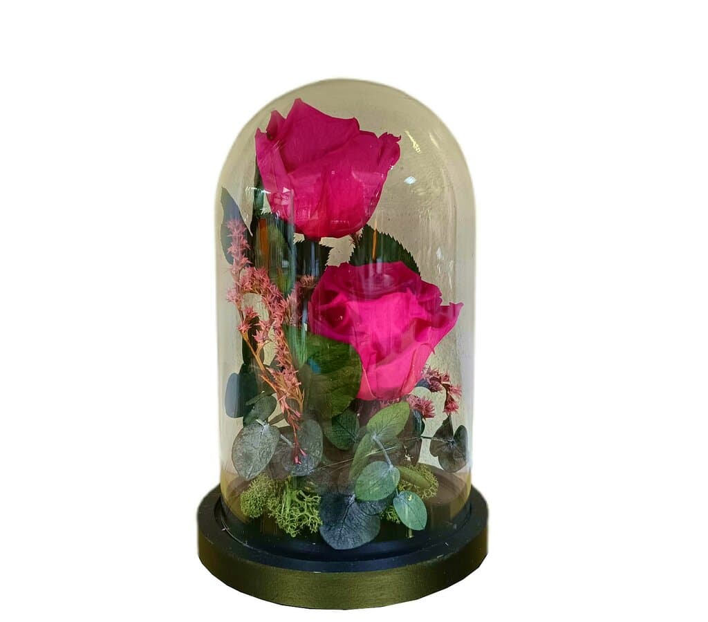 Cúpula 2 Rosas Fucsia 12x20cm