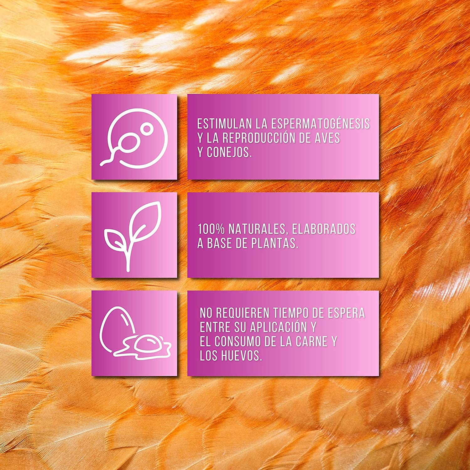Estimula La Fertilidad De Las Aves De Corral - Pack 3 Soluciones Naturales Vitamínicas 250ml_1