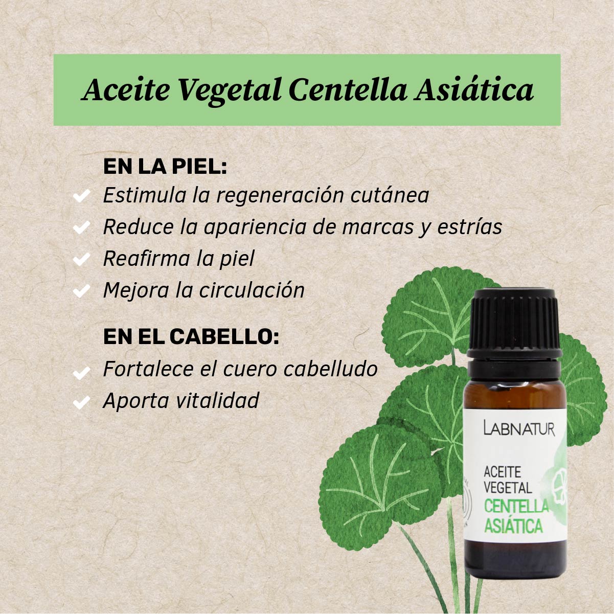 Aceite de Centella Asiática 10 ml | Regenerador y Calmante | Cuidado Facial y Corporal | Piel Sensible_1