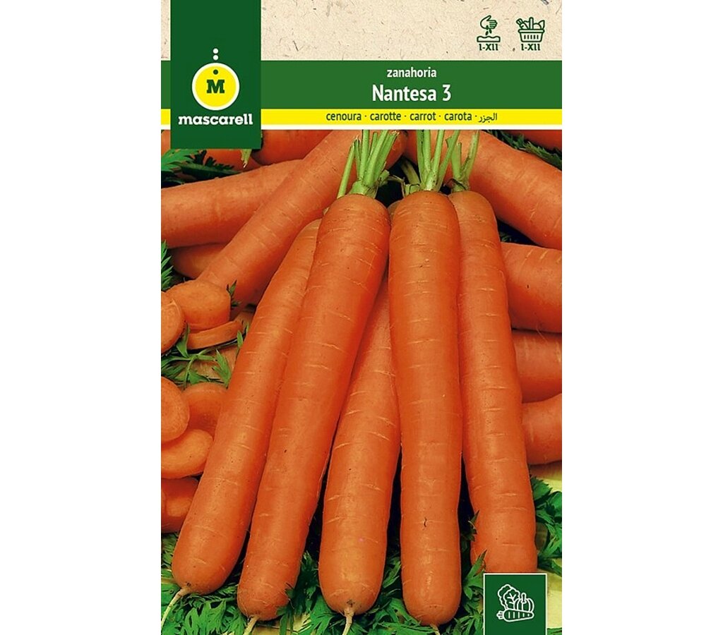 Semilla Zanahoria Nantesa