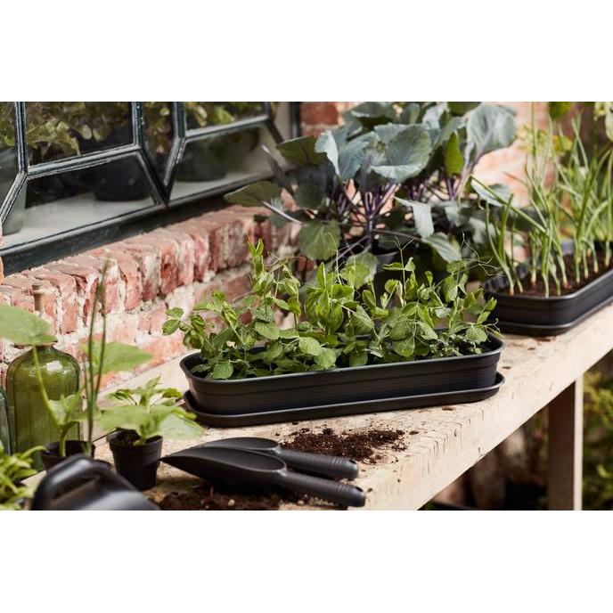 Plato bandeja de cultivo Green basics Elho Antracita S