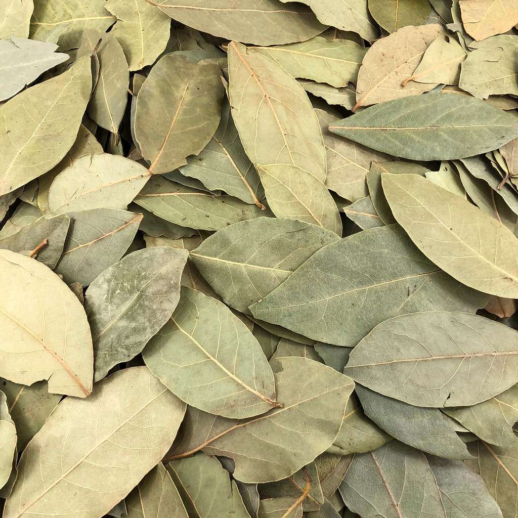 Hojas De Laurel Orgánicas A Granel Orgánicas A Granel 5 Kg_0