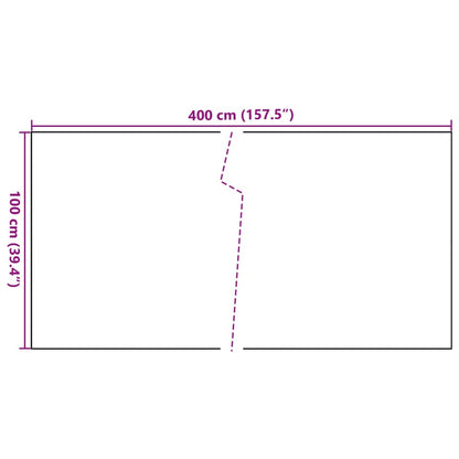 Toldo Para Balcón Ratán Sintético Marrón Claro 400x100 Cm / Vetonek_4