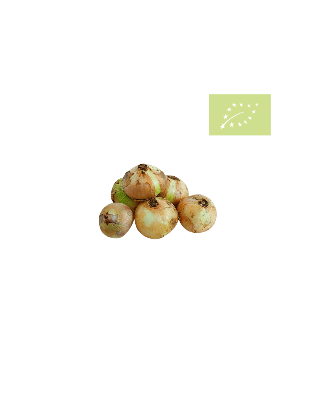 Cebolla Babosa Bio - 1kg_0