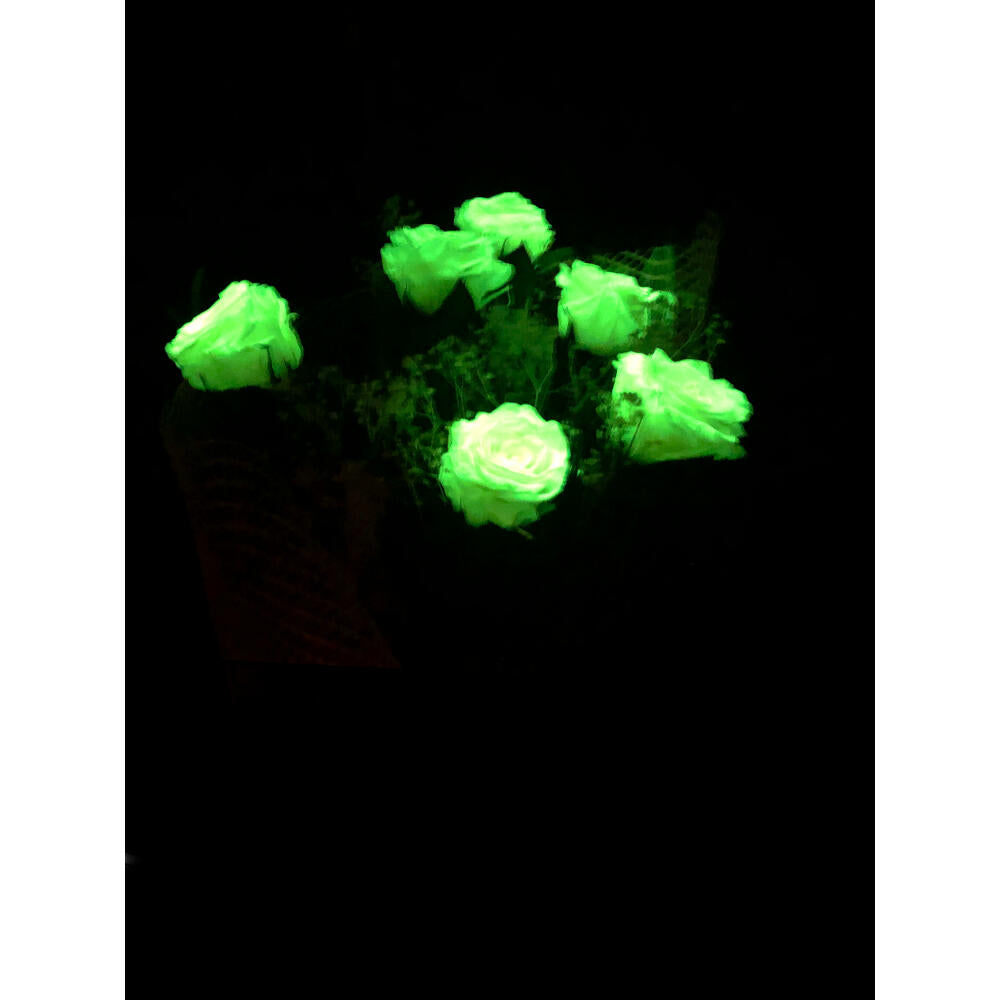 Mundo Eterno Ramo De 6 Rosas Eternas Blancas_1