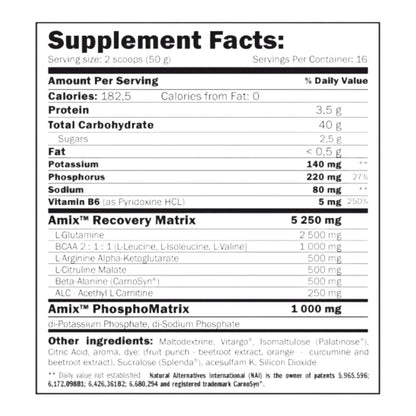 Iso-lyn Recovery 800 Gr_1