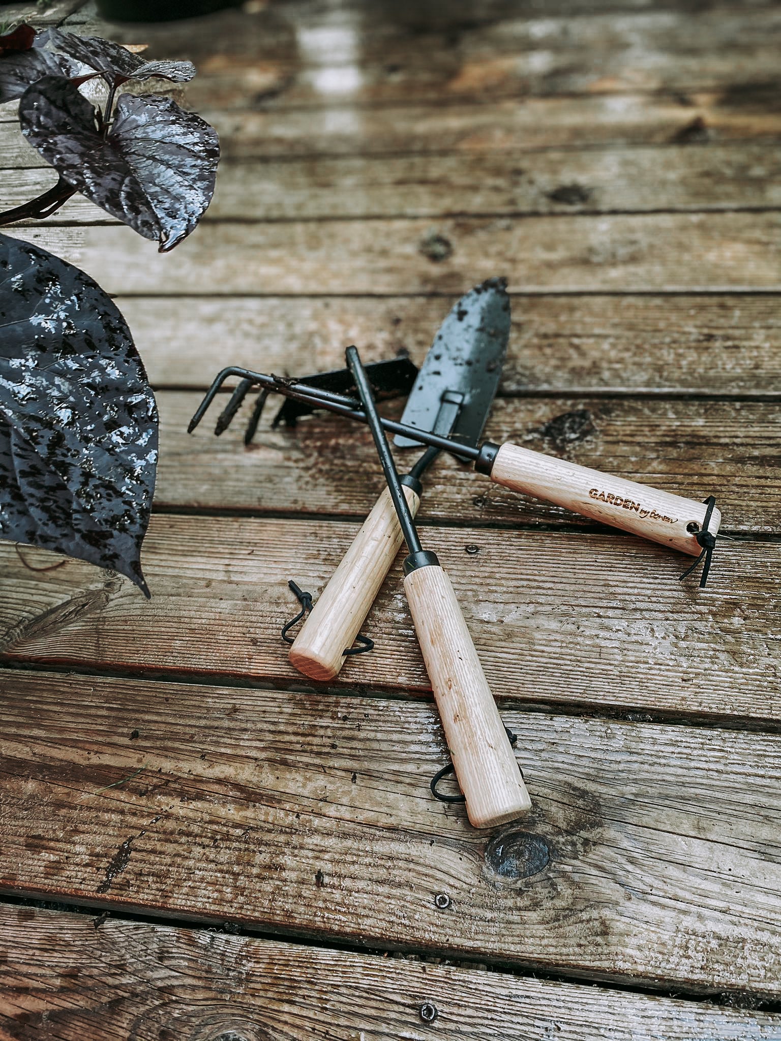 Cultivador - Fresno, Metal, Negro, 32 X 9 X 5 Cm