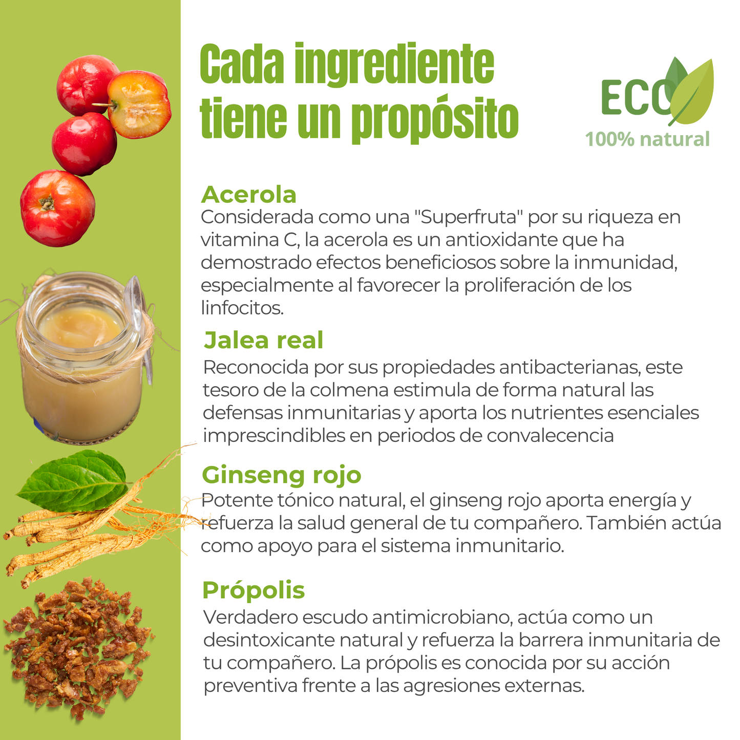 Suplemento natural para la energía y vitalidad de perros y gatos – ECO 100 g_2