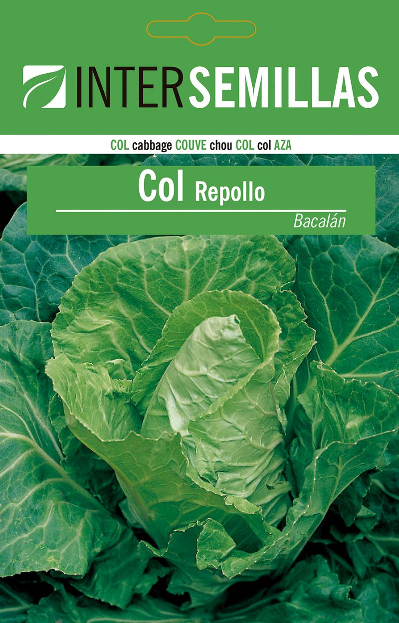 Sobre De Semillas Col Repollo Bacalan