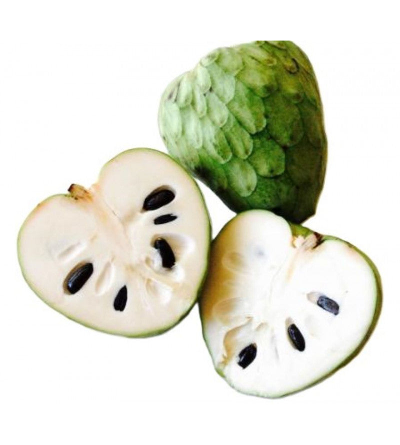Chirimoya.de Conil. 1 Kg_0