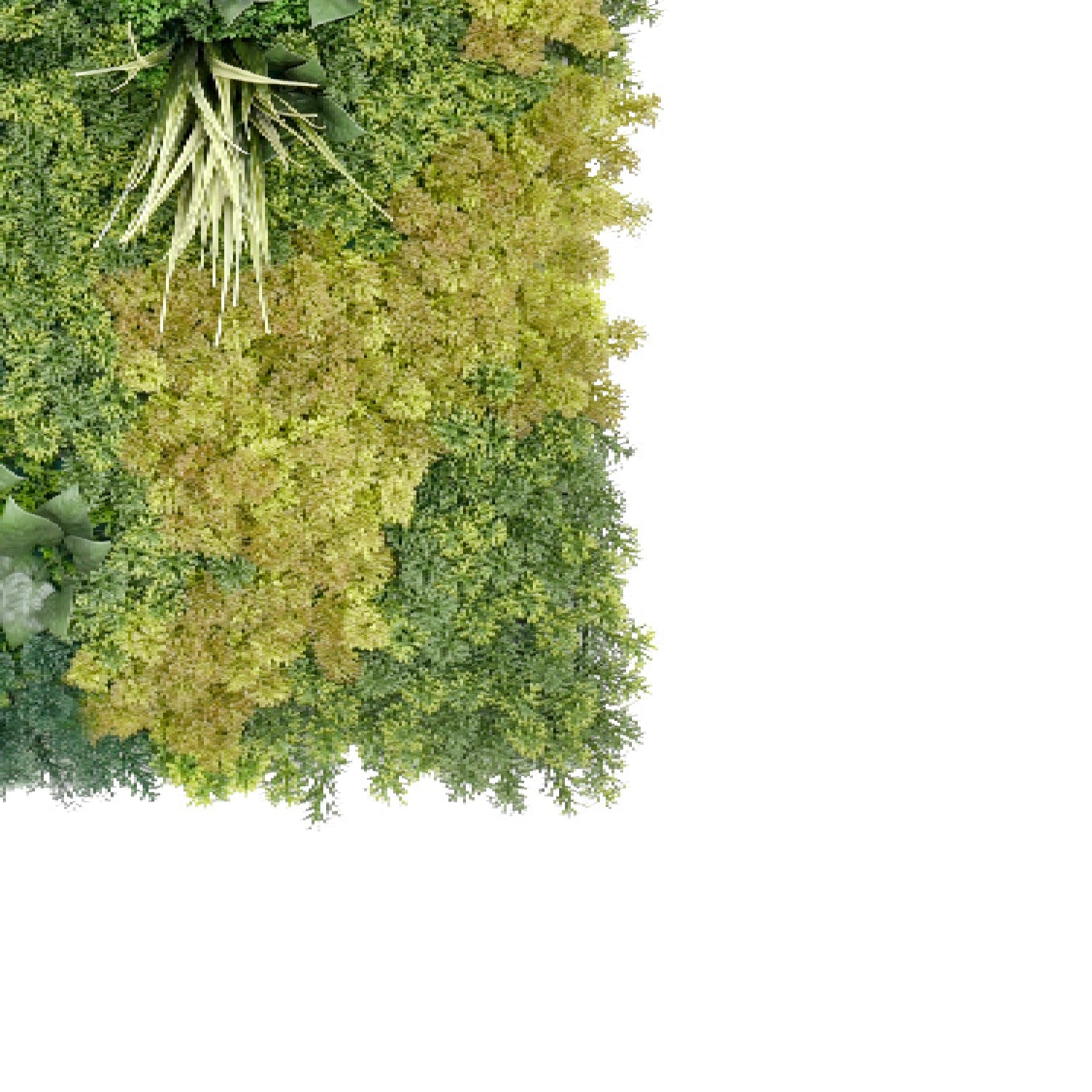 Bonerva | Jardín Vertical Yellowstone | Pieza 100x100 Cm_2