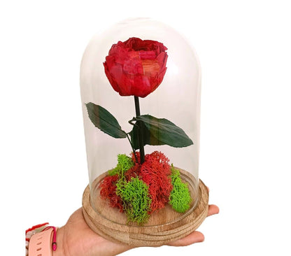 Mundo Eterno Peonía Roja En Cúpula 12x20cm