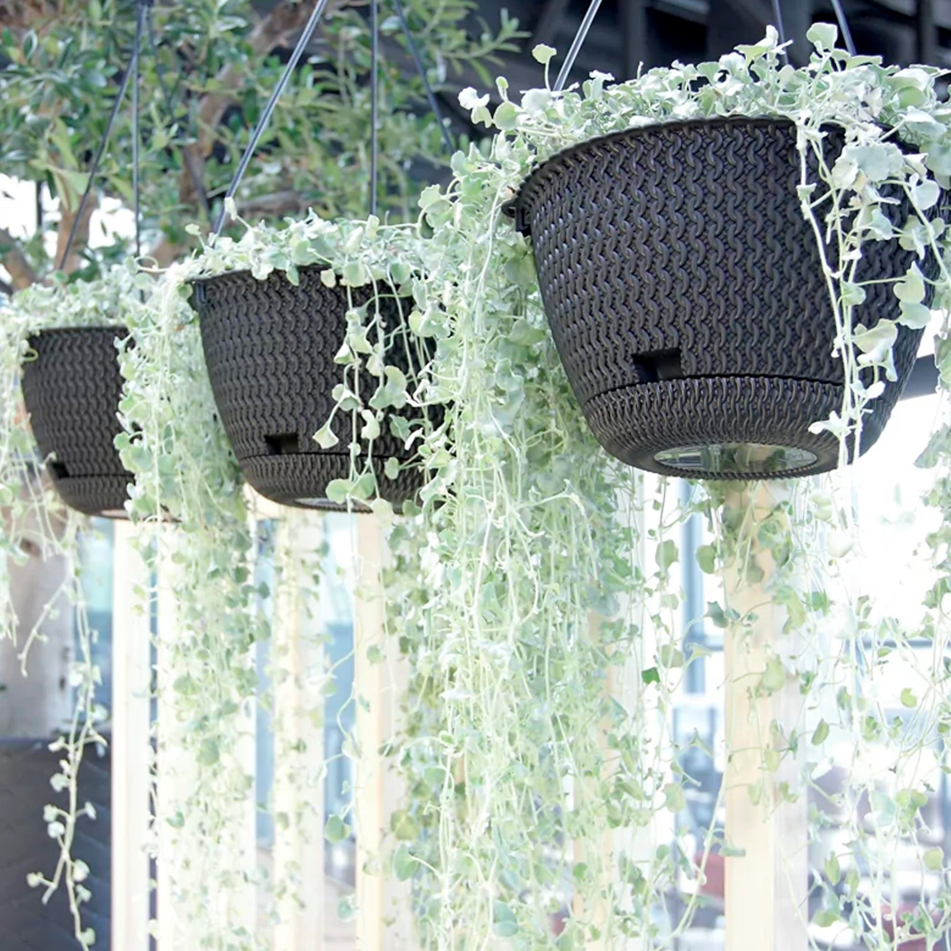 Macetero Colgante Splofy Round W 3l., Dimensiones (mm) 230x230x145, Color Mocca_4