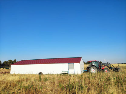 Huevos Ecológicos de Pastoreo Regenerativo (2 Docenas en estuches de 6)