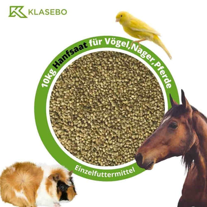 Semillas De Cáñamo 10kg Para Aves, Roedores Y Caballos