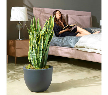 Veca Macetero Plástico Blanco Eggy 35x28 Cm_1