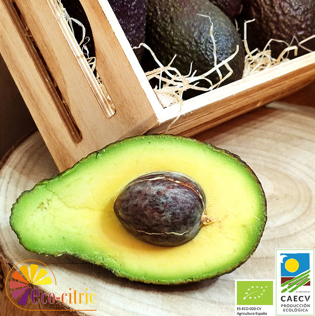Aguacate Ecológico 5kg._0
