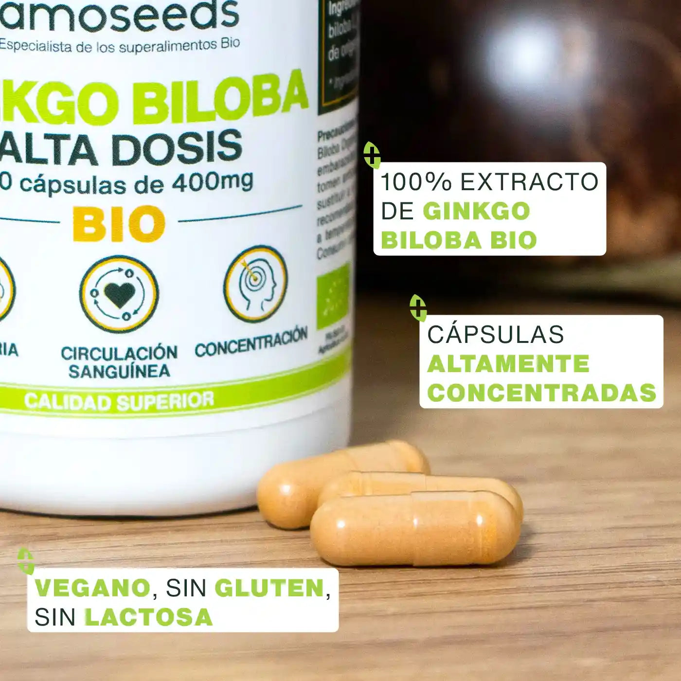 Ginkgo Biloba Bio, Alta Dosis | 90 Cápsulas_3