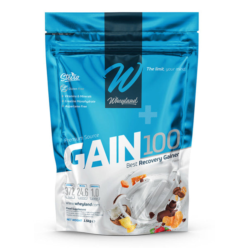 Gain 100 1.5 Kg Galleta