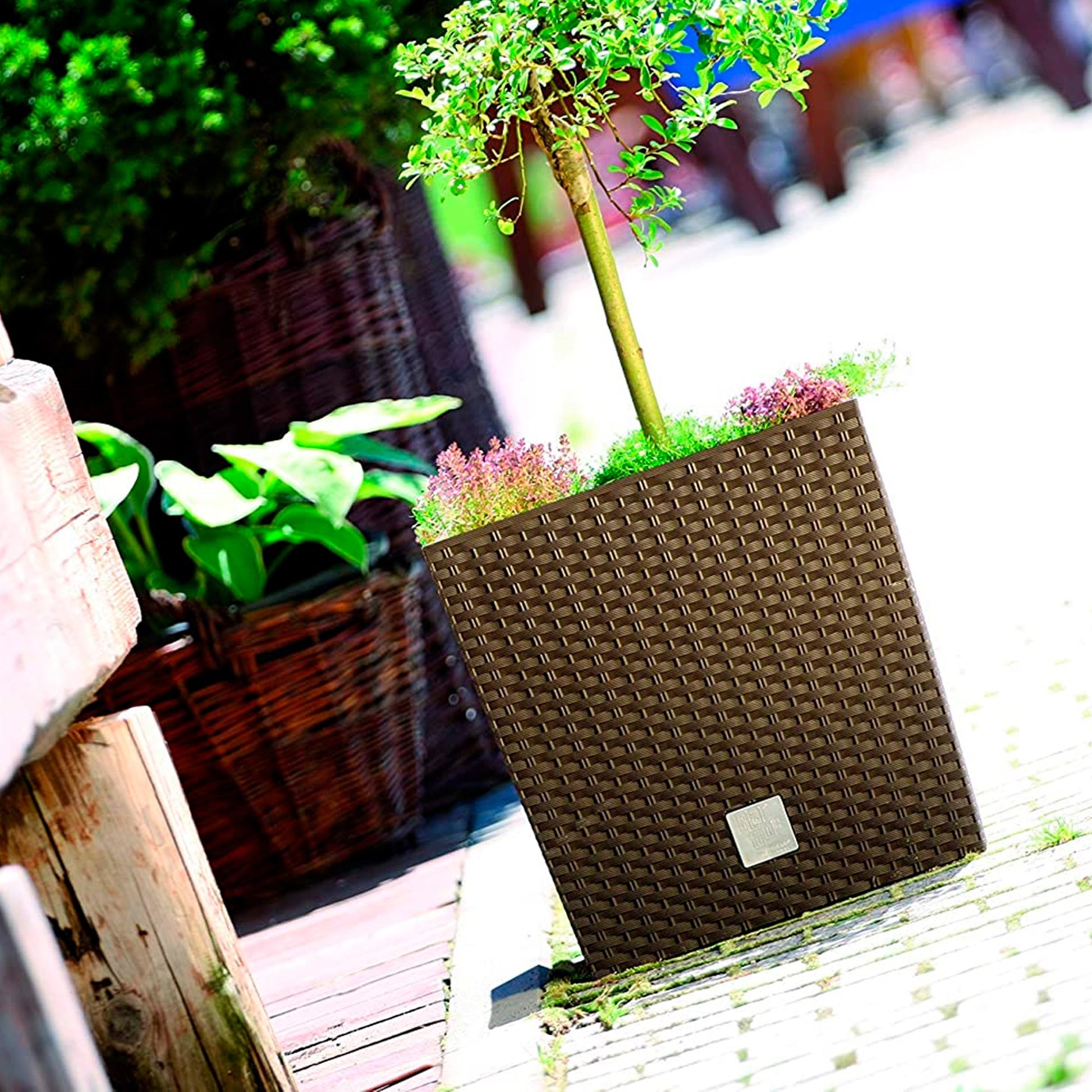 Maceta Rato 32 Litros Con Cubilete Para Plantar En Color Chocolate 33 X 33 X 33 Cm._5