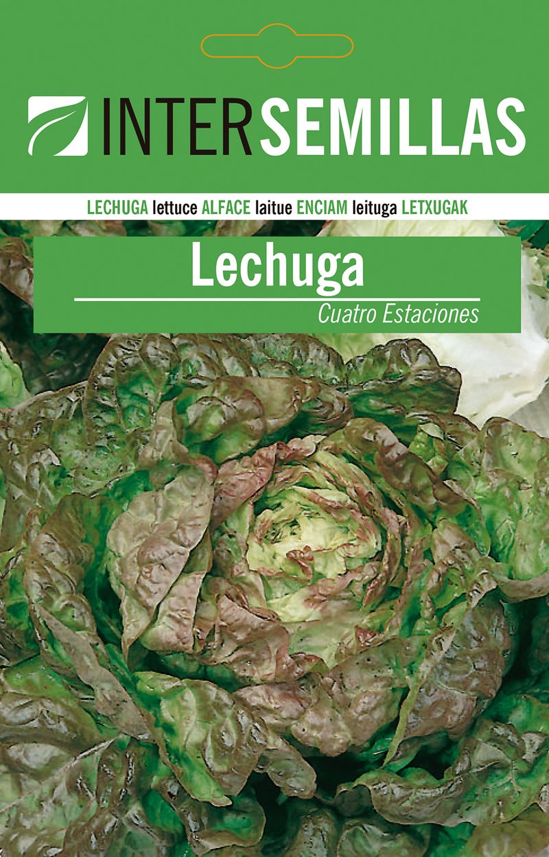 Sobre De Semillas De Lechuga Cuatro Estaciones