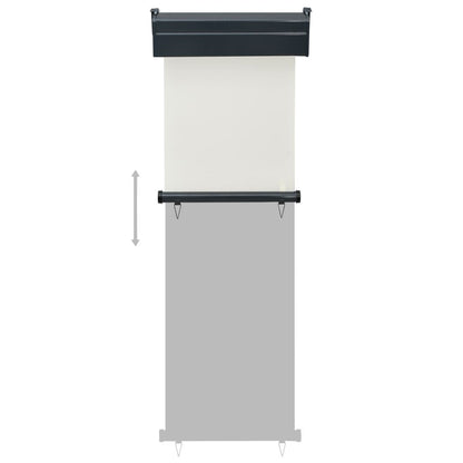 Vidaxl Toldo Lateral De Balcón Color Crema 65x250 Cm_4