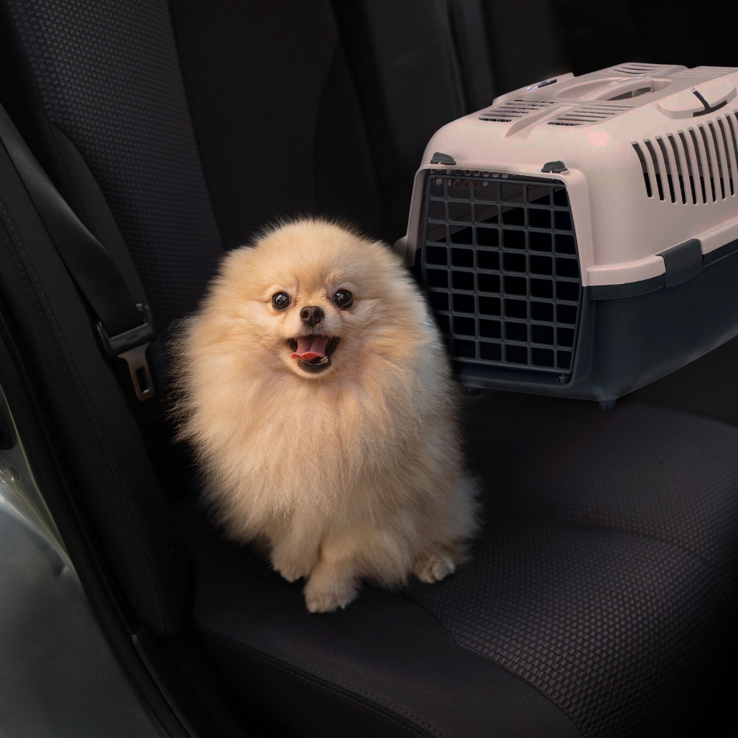 Well Home - Transportín De Mascotas Portátil Antracita, Ideal Para Perros Y Gatos 55x36x35cm