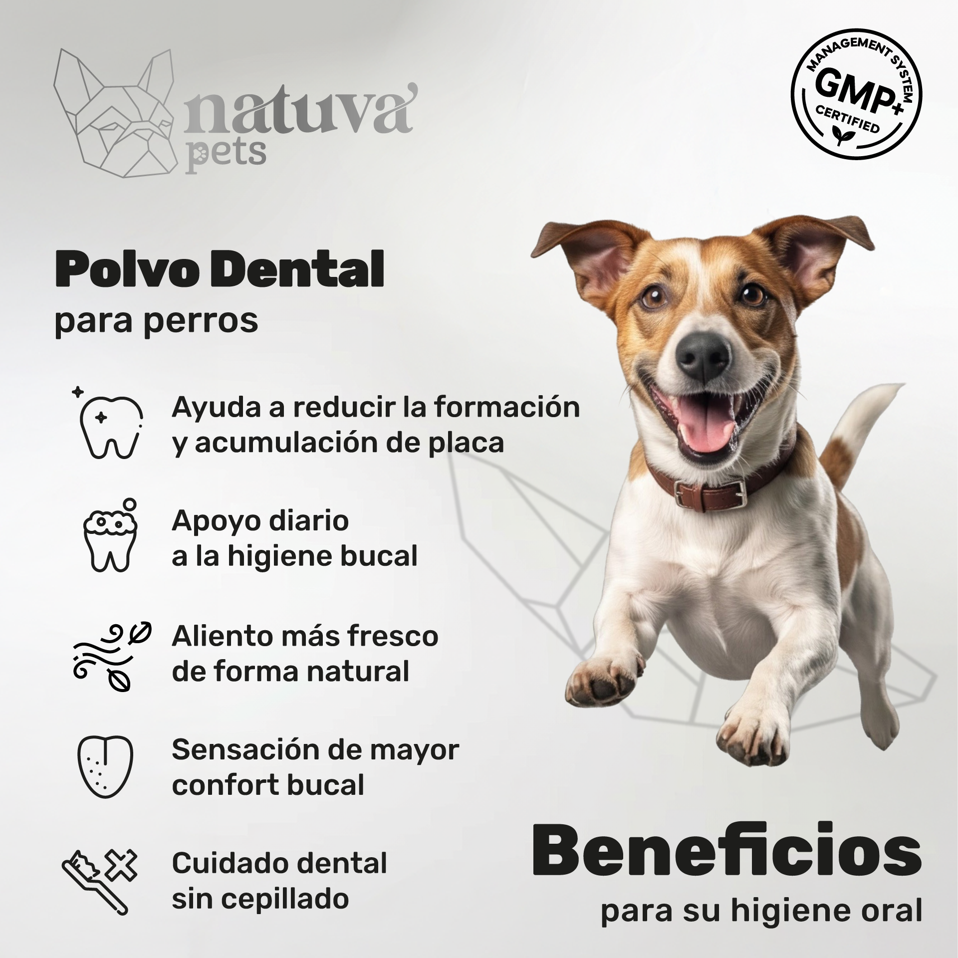 Pack 2x Polvo Dental Para Perros. Higiene Bucal. Suplementos Mascotas. 360 Gramos. Natuva Pets_1