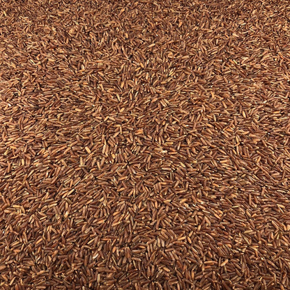 Arroz Rojo Ecológico Granel 0,25 Kg_2