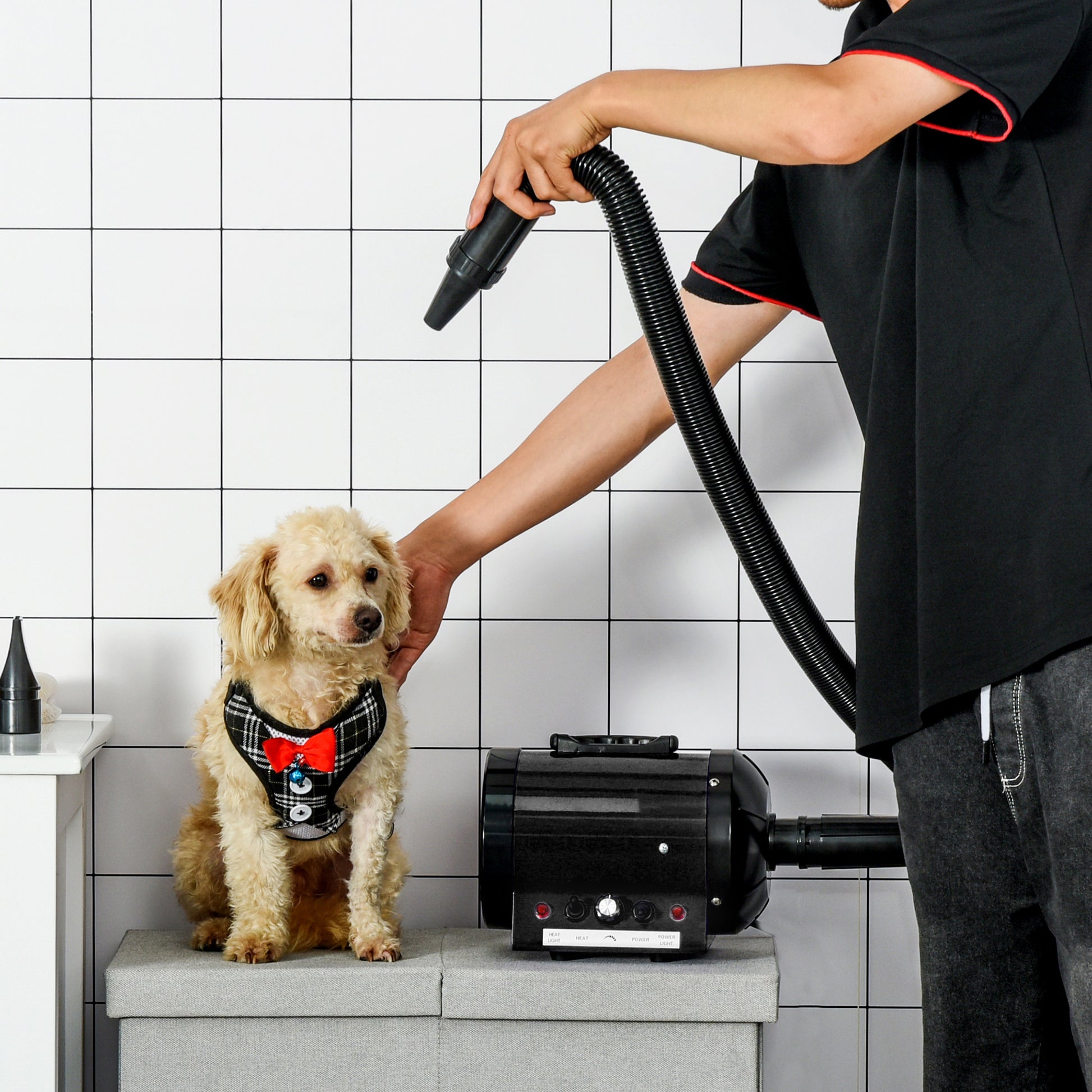 Pawhut Secador De Pelo Perros 2800w Temperatura Velocidad Del Viento Ajustable_1