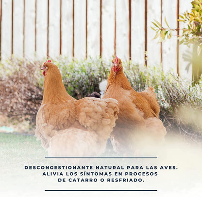 SoluRespi 250ml - Solución líquida mentolada para gallinas - Apoyo nutricional en el resfriado de las aves - 100%natural_2