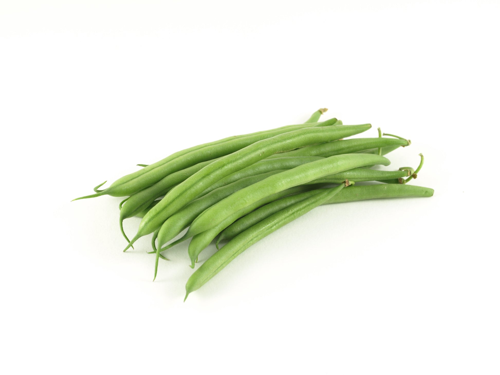 Judia Estrecha Redonda De Conil. 1/2 KG